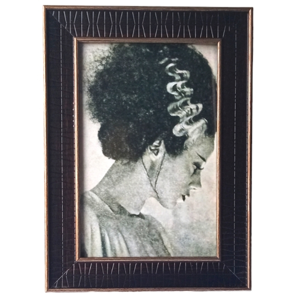 Bride of frankenstein Vintage Horror Cult Classic Mary Shelly Vintage Book Flims